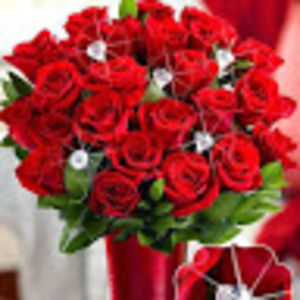 Meet your Posher, Susan rolle